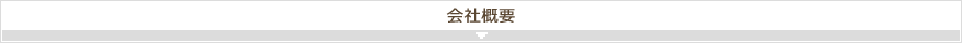 ЊTv
