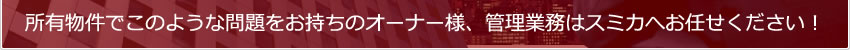 Lł̂悤Ȗ̃I[i[lAǗƖ̓X~JւCI